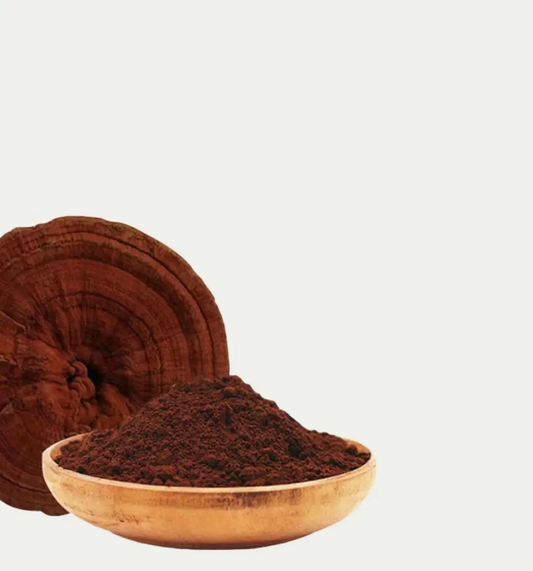 Ganoderma Spore Powder 100g