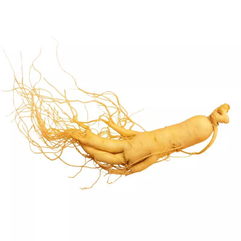 Ginseng Root 30 years